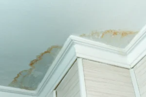 Read more about the article How to Handle Moisture Condensation Stains on Ceilings: A Homeowner’s Guide