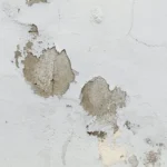 Water Leaks in Walls
