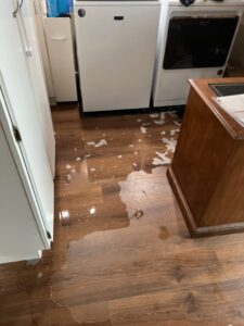 Water Damage Mitigation