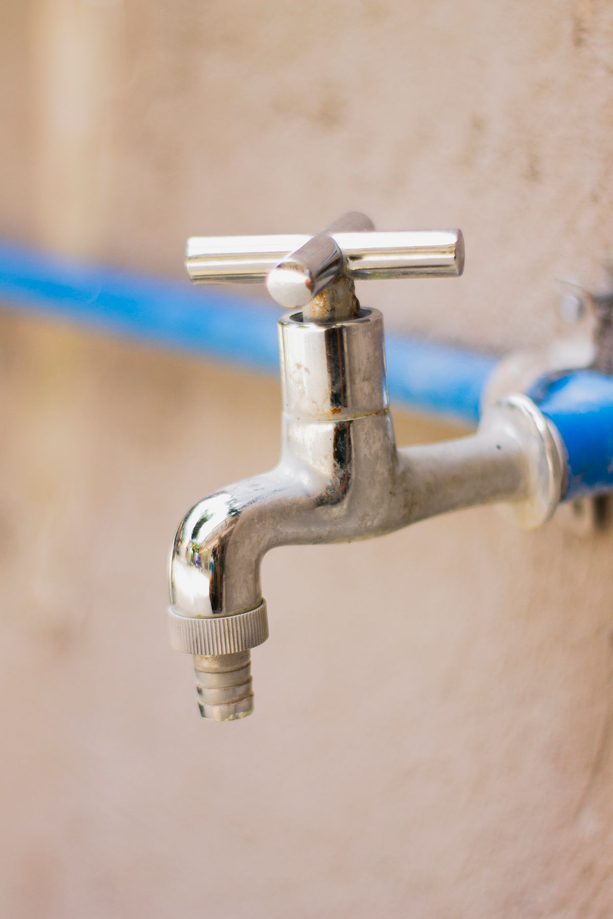 Does Homeowners Insurance Cover Sewage Backup in California? 1 water backup endorsement claim documentation 1